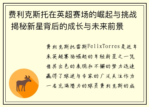 费利克斯托在英超赛场的崛起与挑战 揭秘新星背后的成长与未来前景